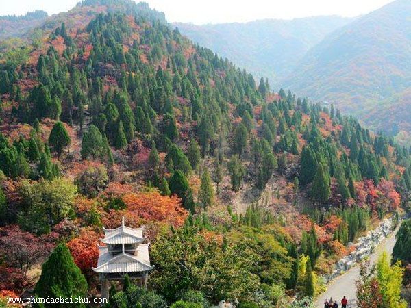 昆山苏州拆除公司